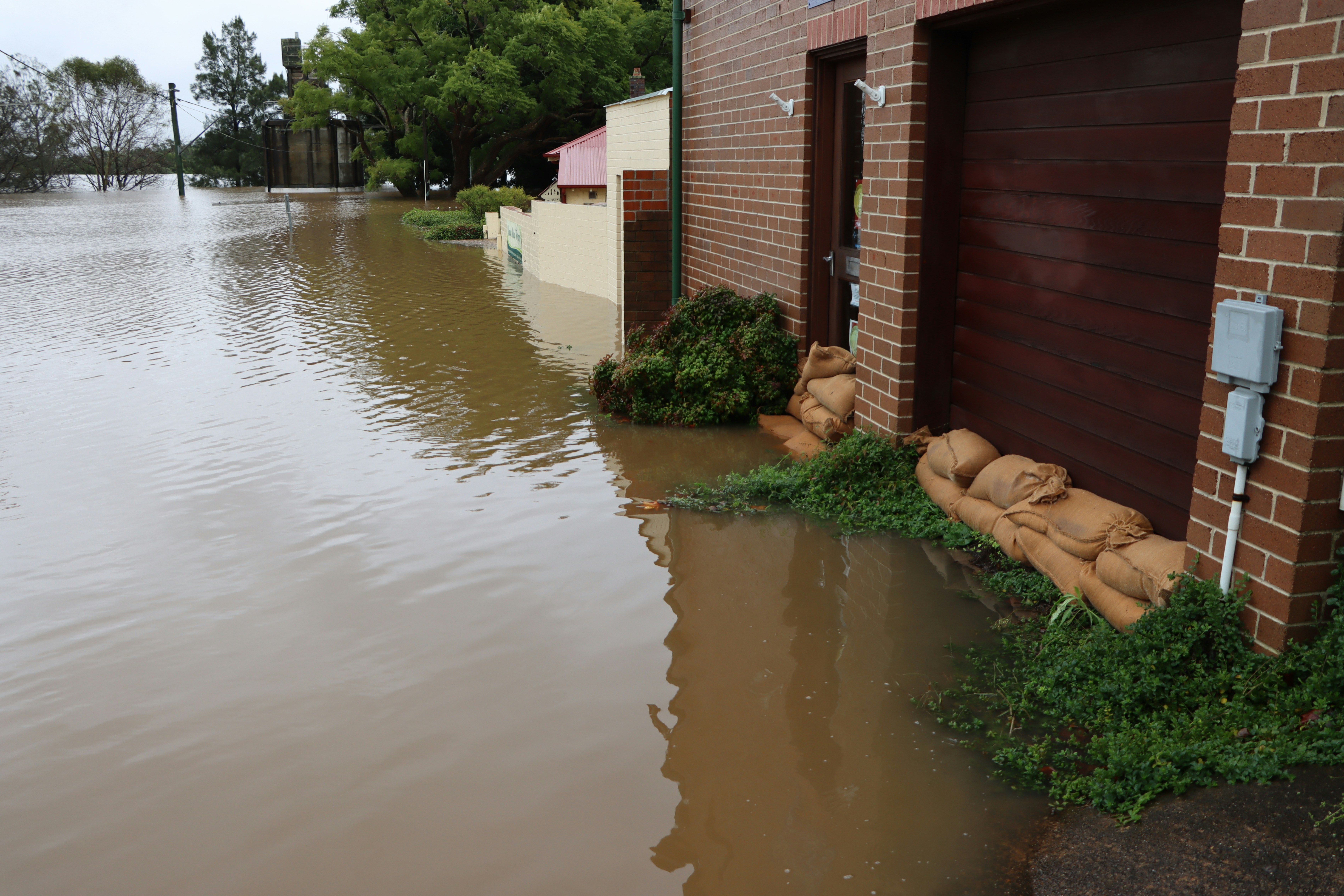 Dealing with a Flooded Basement in Charlotte? Best Option Restoration Has You Covered