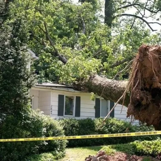 Storm & Wind Damage Repair Services in Rock Hill, SC